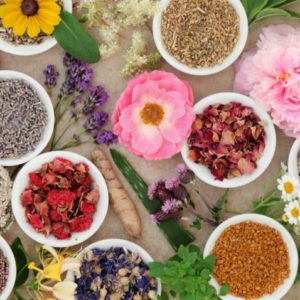 Nos thés et tisanes Serenity Store